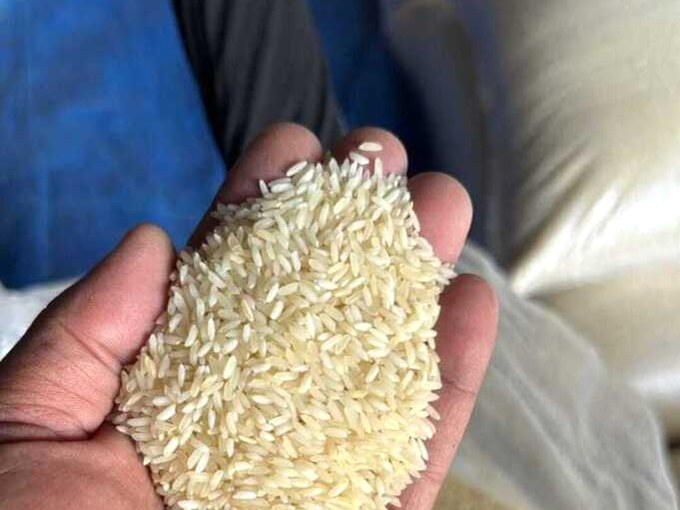 Sona Masoori rice